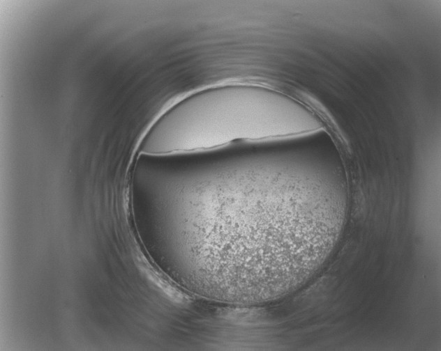 X0000080731284200612221243