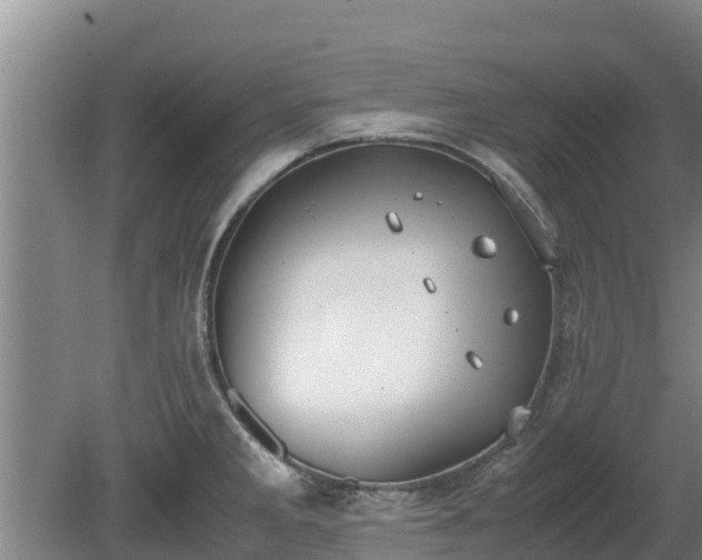 X0000080731285200612221243