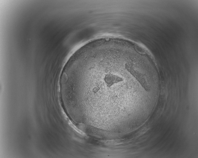 X0000080731287200612221243