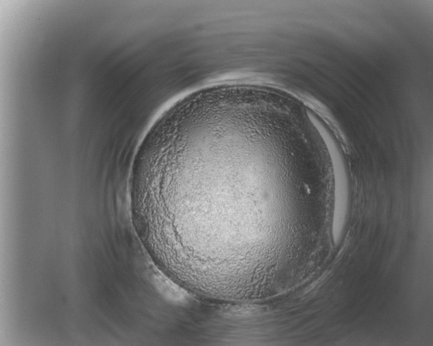 X0000080731288200612221243