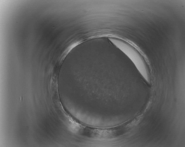 X0000080731289200612221243