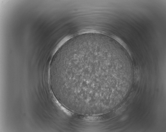 X0000080731290200612221243