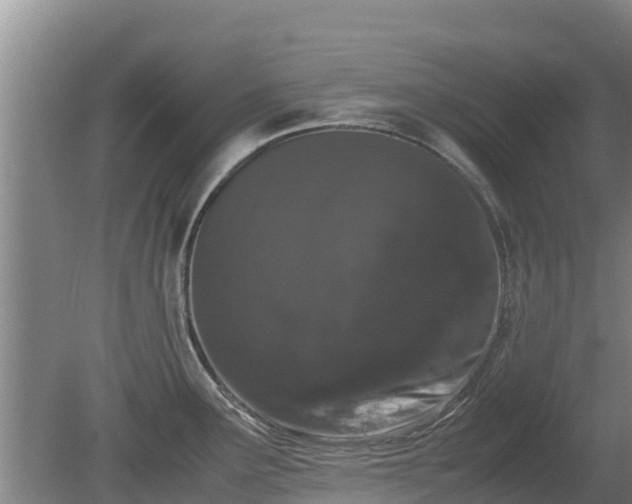 X0000080731291200612221243