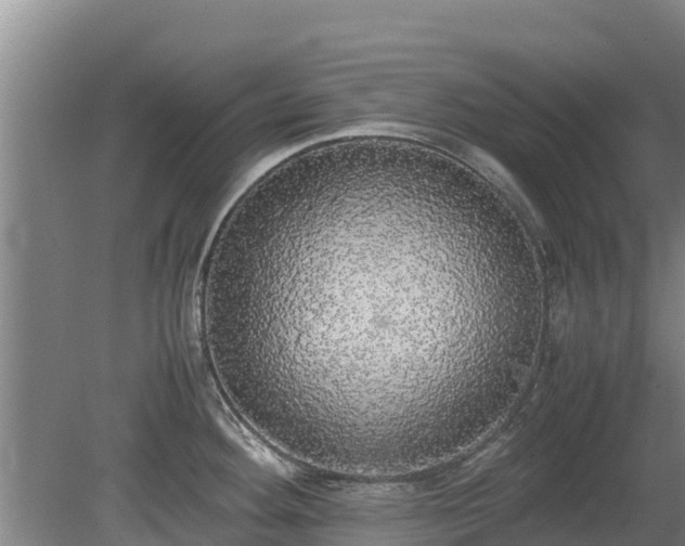 X0000080731292200612221243