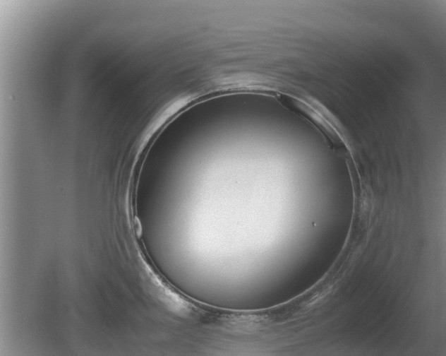 X0000080731293200612221243