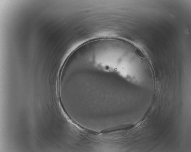 X0000080731295200612221243