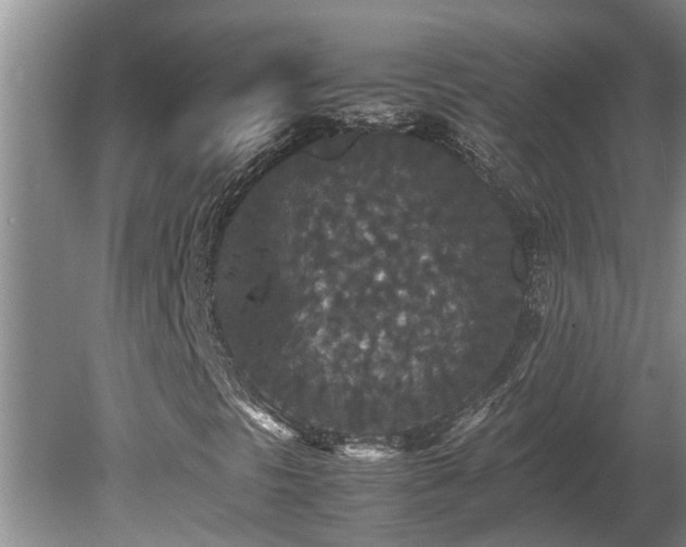 X0000080731297200612221242