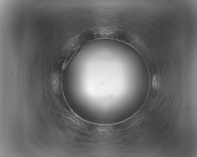 X0000080731299200612221242