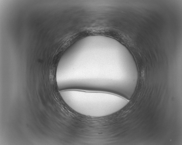 X0000080731300200612221242