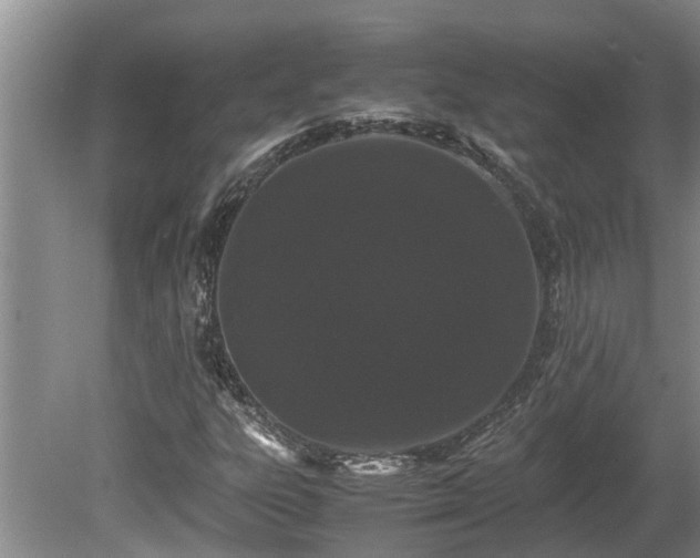 X0000080731303200612221242