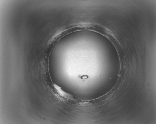 X0000080731304200612221242