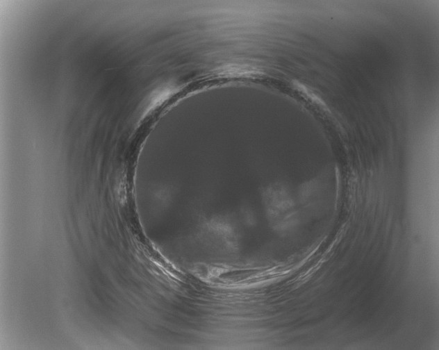 X0000080731306200612221242