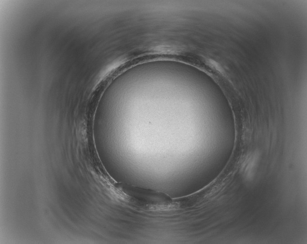 X0000080731307200612221242