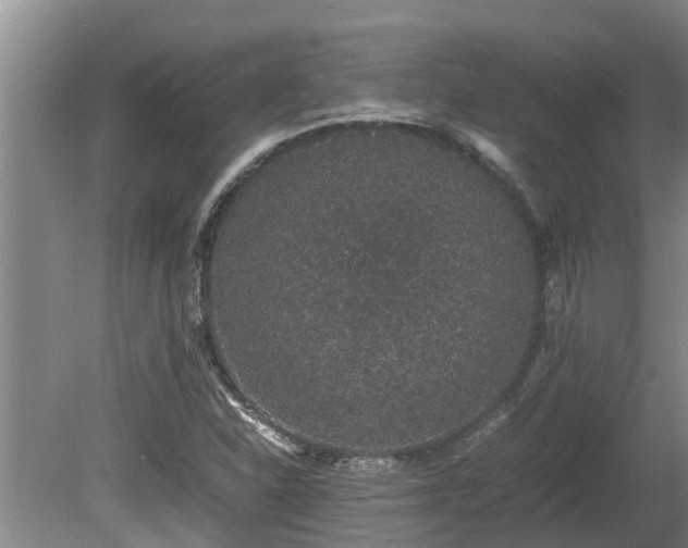 X0000080731310200612221242