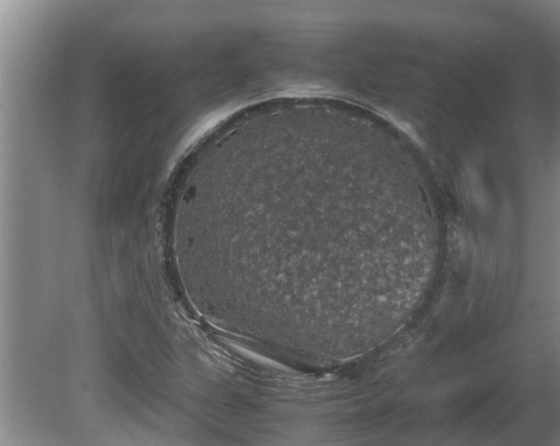 X0000080731311200612221242