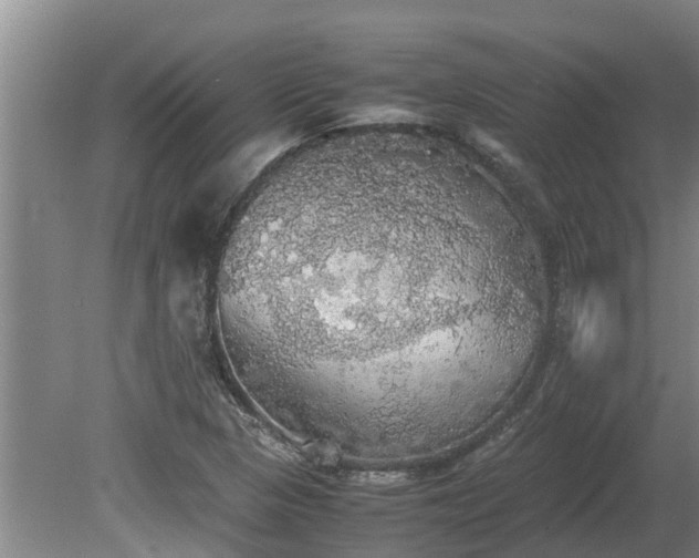 X0000080731313200612221242