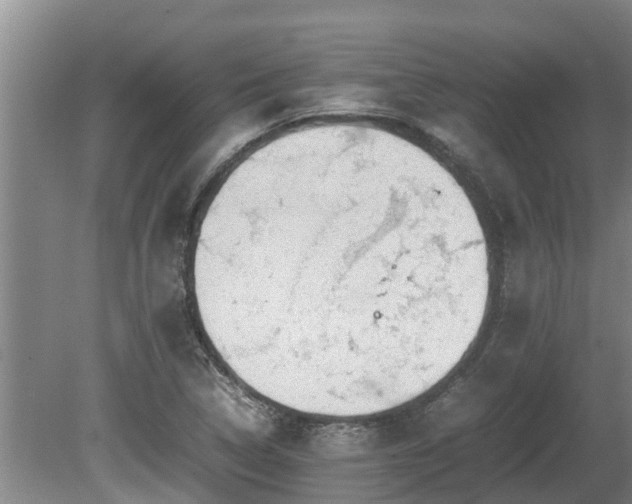 X0000080731314200612221243