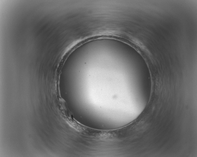 X0000080731316200612221243