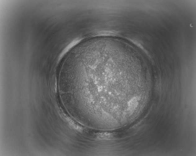 X0000080731317200612221243