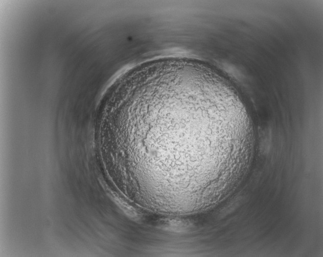 X0000080731318200612221243