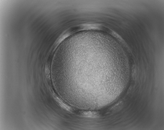 X0000080731321200612221243