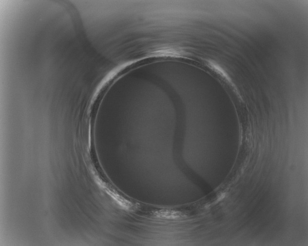 X0000080731323200612221243