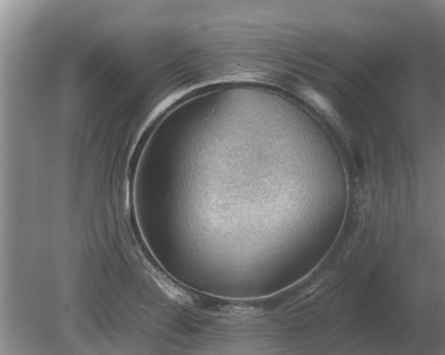 X0000080731324200612221243