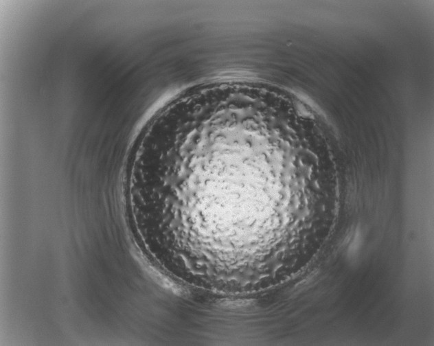 X0000080731325200612221243