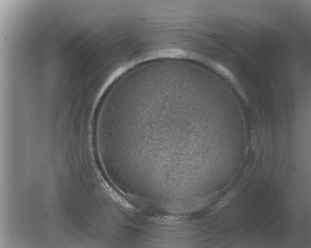 X0000080731326200612221243