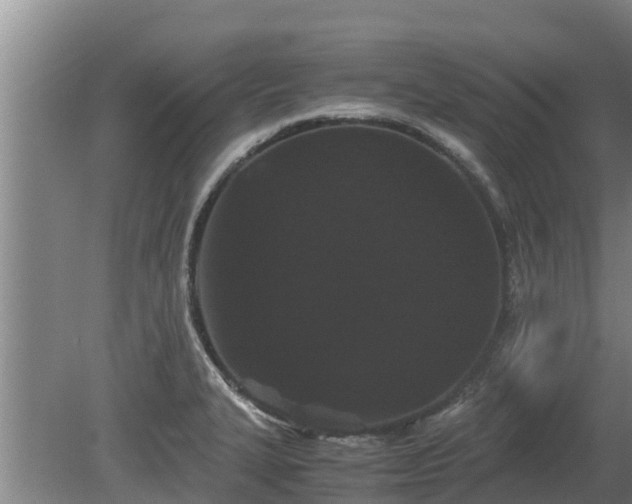 X0000080731327200612221243