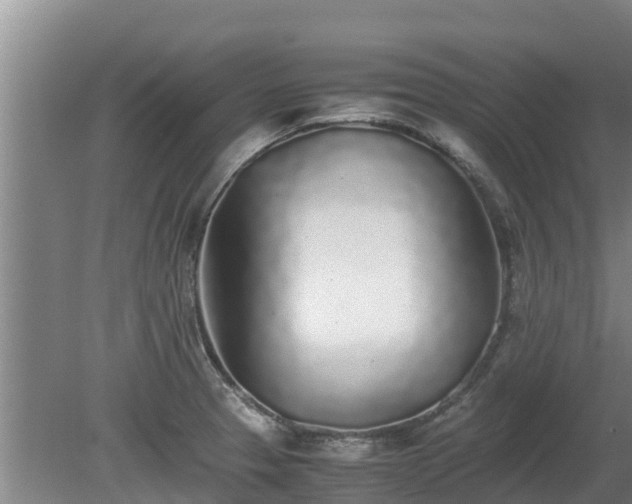 X0000080731329200612221243