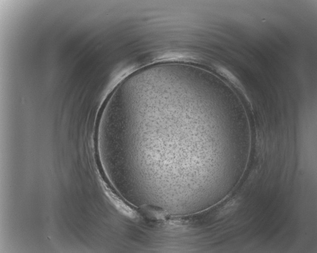 X0000080731330200612221243