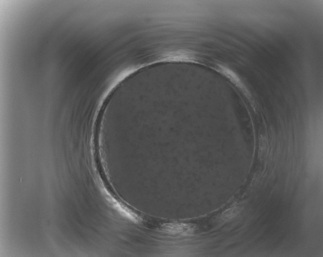 X0000080731331200612221243