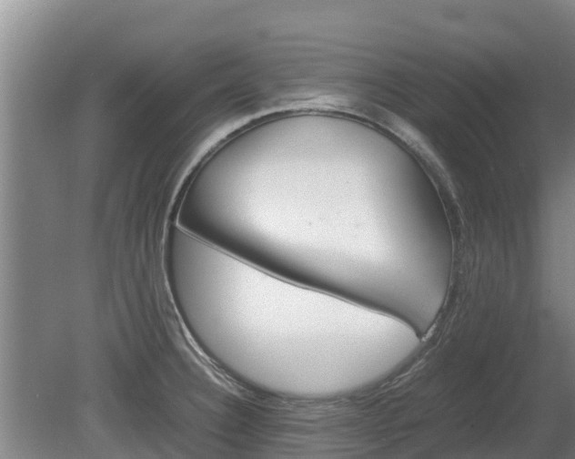 X0000080731332200612221243