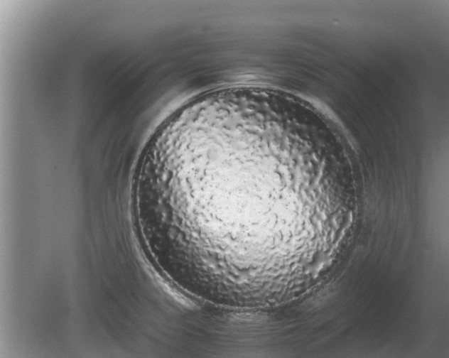 X0000080731333200612221243