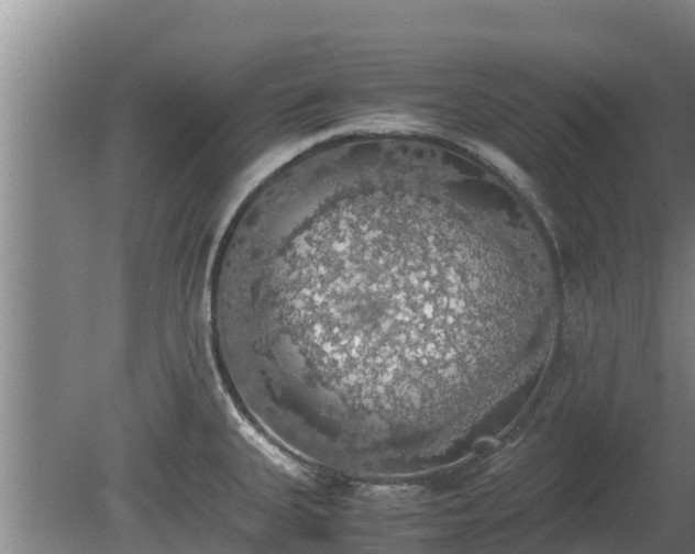 X0000080731335200612221243