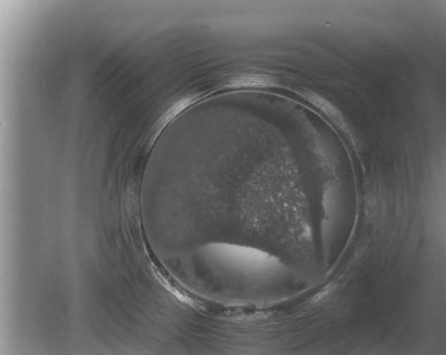 X0000080731337200612221243