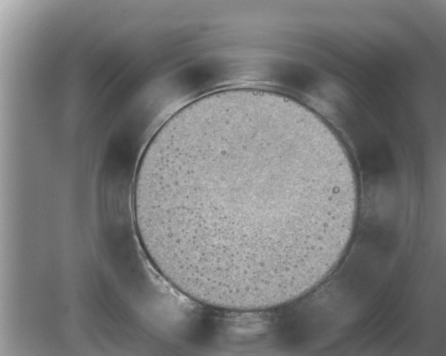 X0000080731338200612221243