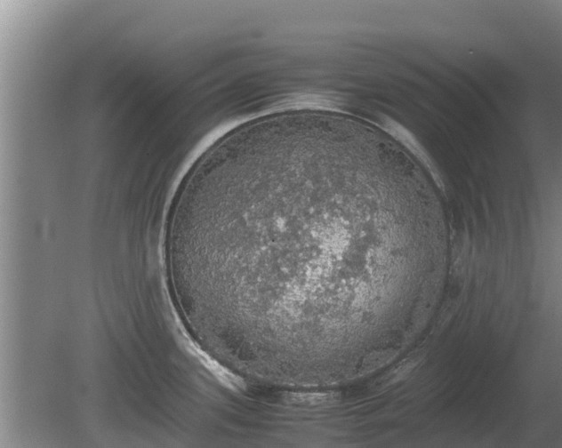 X0000080731339200612221243