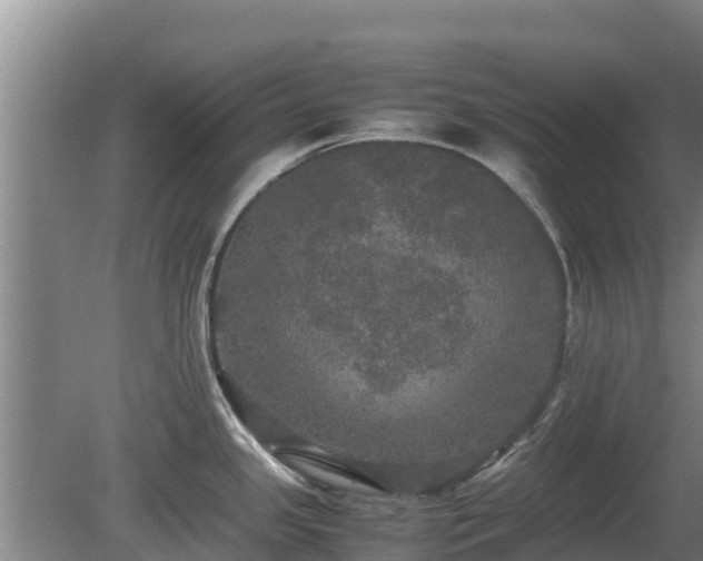 X0000080731341200612221243