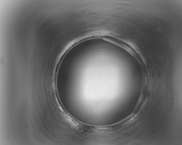 X0000080731342200612221243