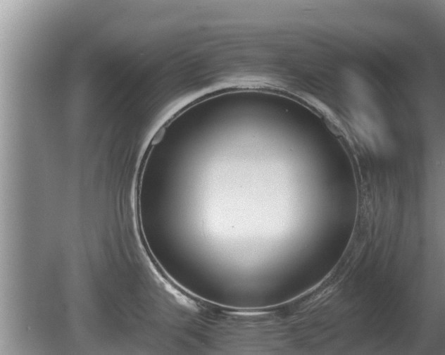 X0000080731343200612221243