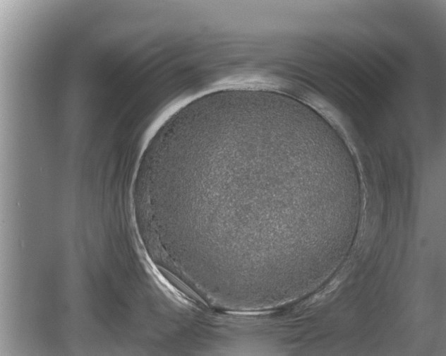 X0000080731344200612221243