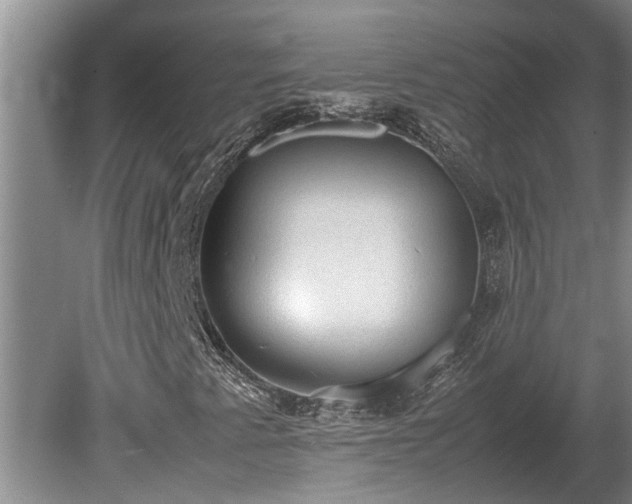 X0000080731345200612221242