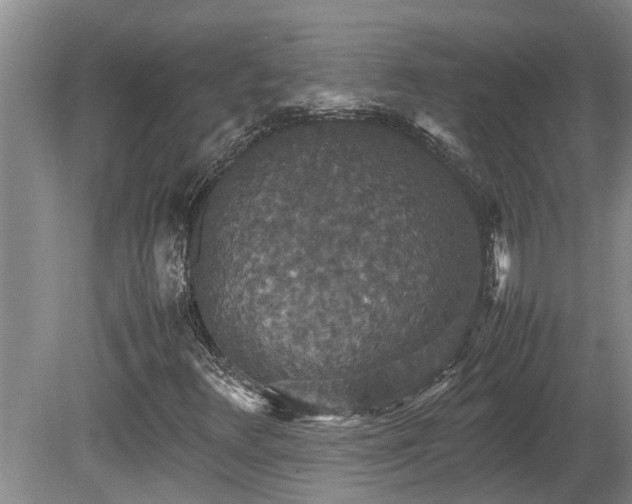 X0000080731348200612221242