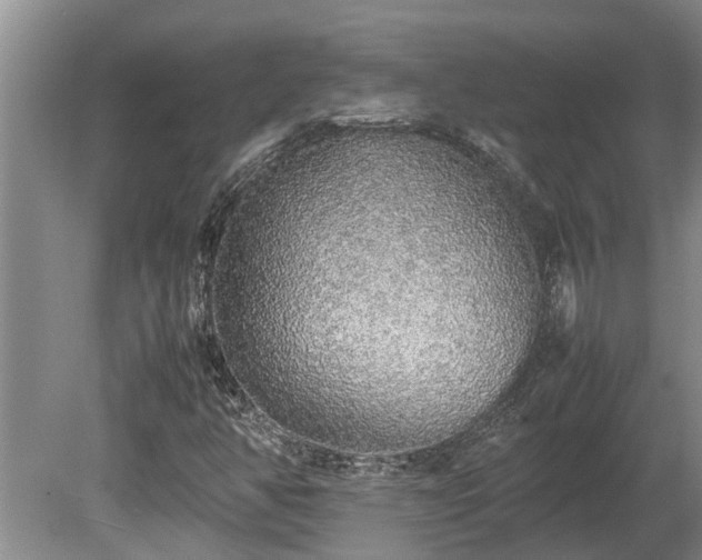 X0000080731350200612221242