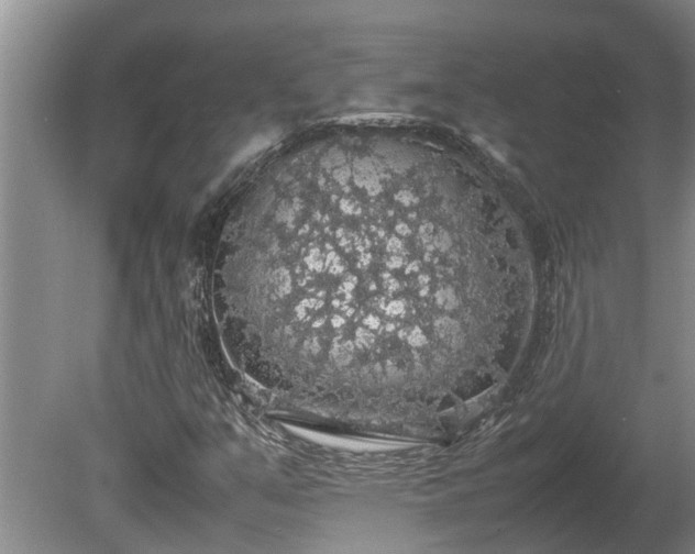 X0000080731351200612221242