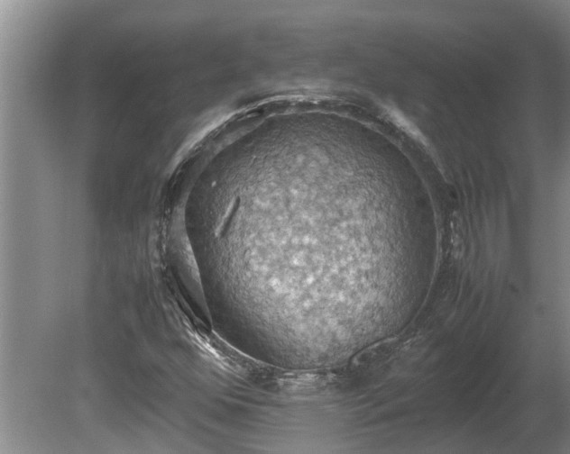 X0000080731352200612221242