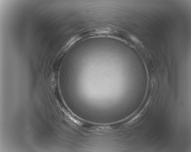 X0000080731353200612221242