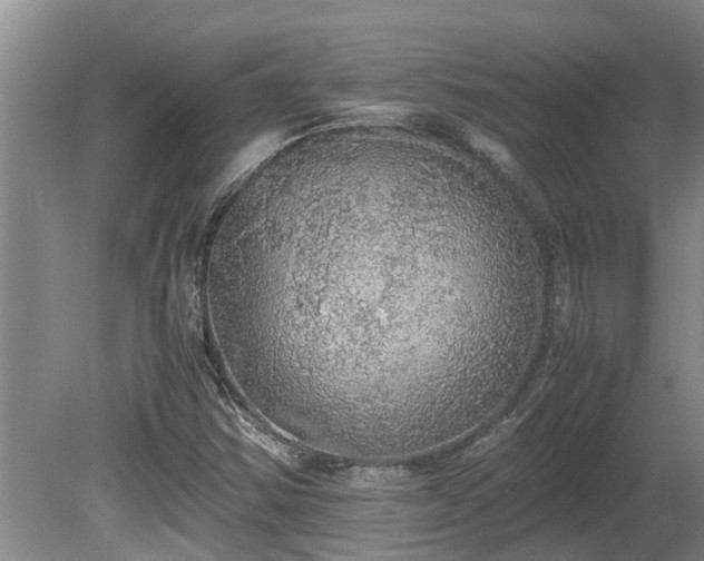 X0000080731354200612221242